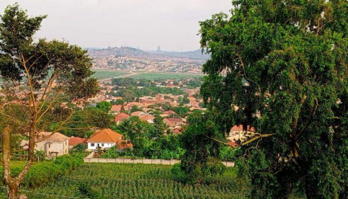 Bulenga 1/2 acre 500 million Photo 1