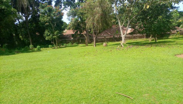 Bugonga 1.6 acres 3.5 billion Photo 1